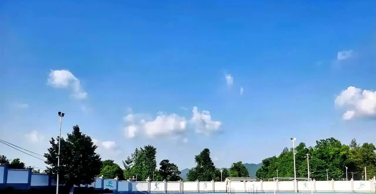 教育局调查组核查了她。杨老师今天撕了班主任工作手册。大伙儿都没想
