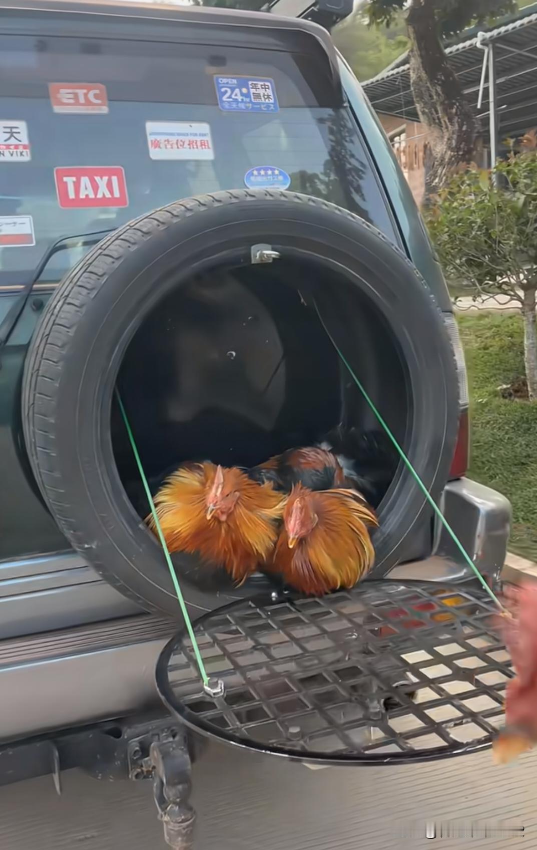 这个装动物好，透气，车里也不会有味道。之前看到有人用塑料袋装鸭子与鸡挂在车尾，半