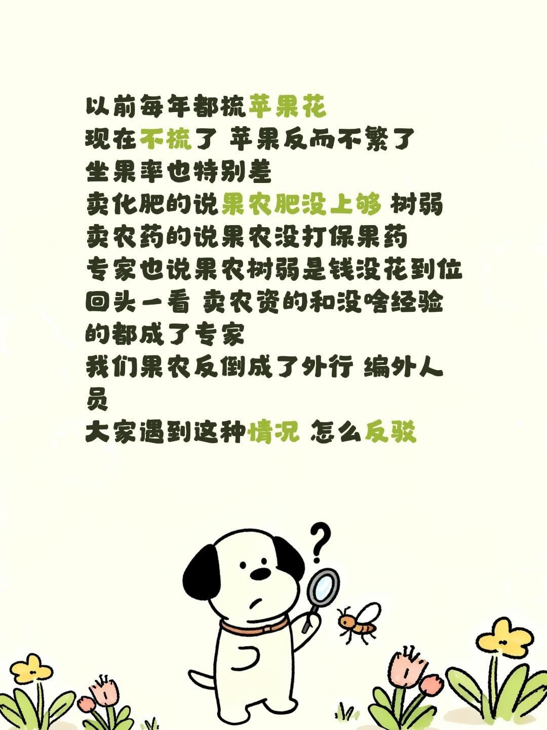 以前每年都梳苹果花现在不梳了苹果反而不繁了坐果率也特别差卖化肥的说果农肥