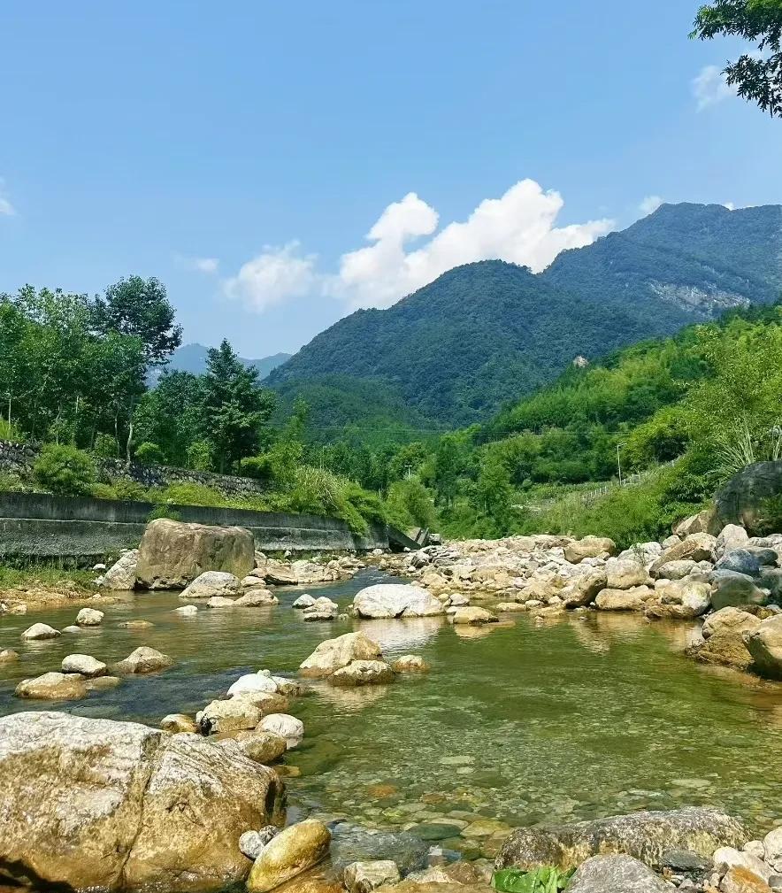 与林娇娇在一起的24小时，除了去菜市场买菜那一小时，23小时，没出门。这是我们