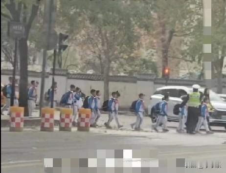 11月26日，陕西西安，一群戴红领巾的小学生正在过马路，遇到一白色轿车主动停车礼