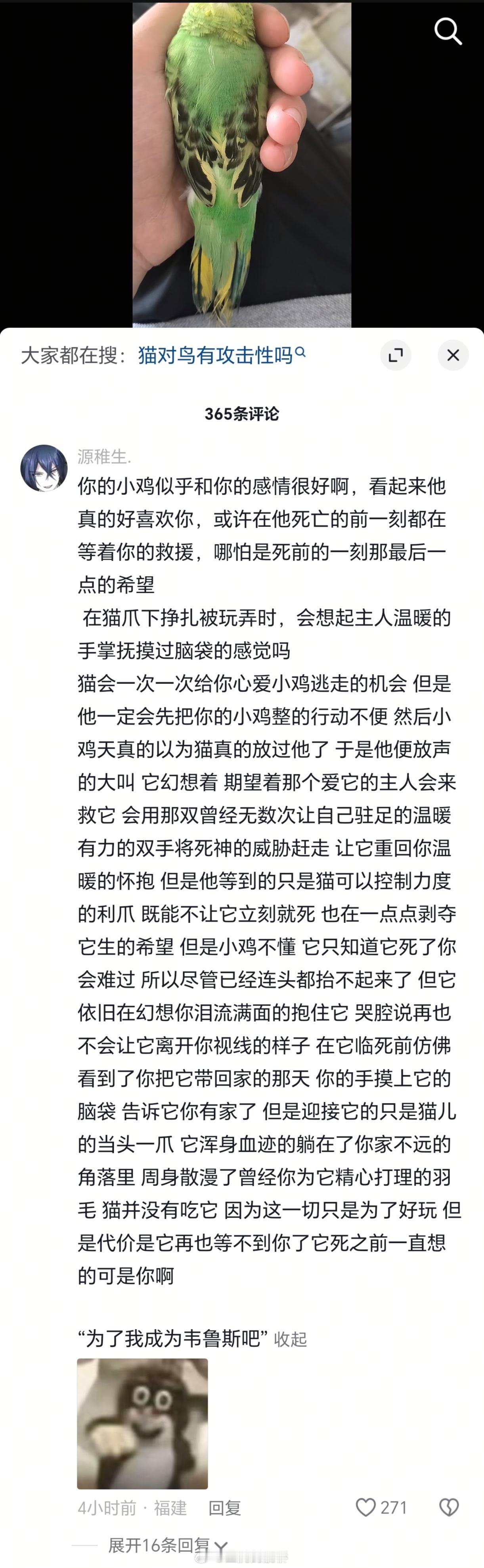 有点绷不住…在短视频平台刷到个家里养的鹦鹉被键帽弄死了的，评论区全是这样在“劝”