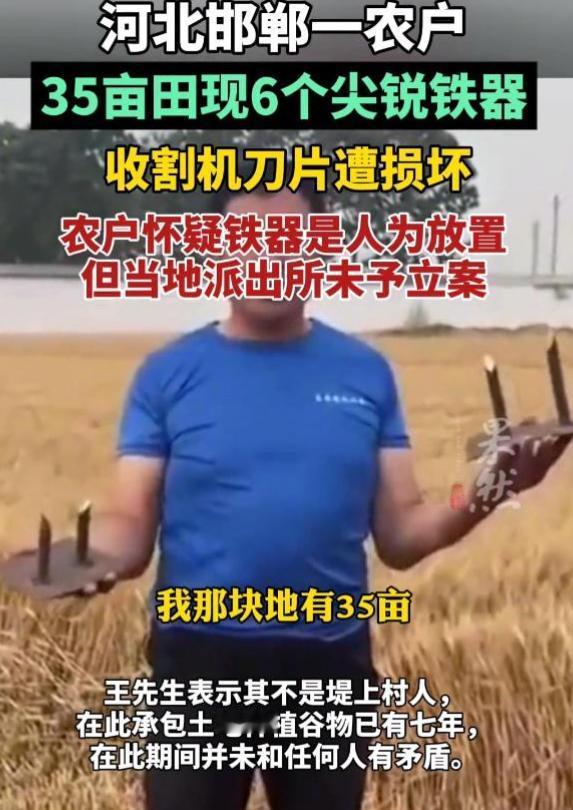 6月5日，河北邯郸的闫女士在操作自家收割机收麦时，意外发现麦田中暗藏两个钢筋。闫