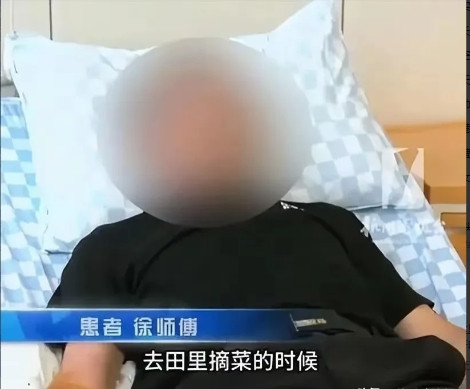 这位大爷了不起！被五步蛇咬伤后，感觉这蛇有毒，立马跑过去，把它踩死了，还让邻居简