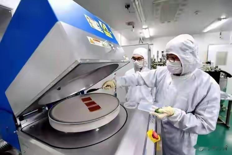 假如荷兰头脑一发热，一台光刻机也不卖中国，那我们该如何应对?从目前情况看，荷