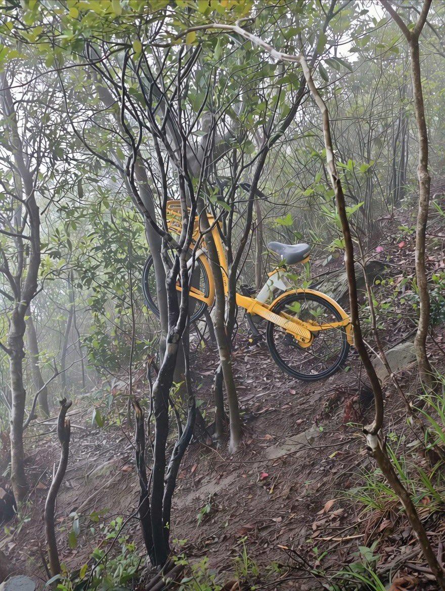 在深圳，有个共享单车运维员接到任务，说梧桐山顶定位到一辆小黄车。他爬上去一看，