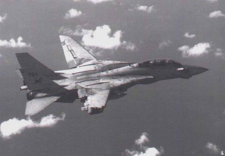 猫宁。1991年，VF-213BlackLions中队旗下F-14大猫在发