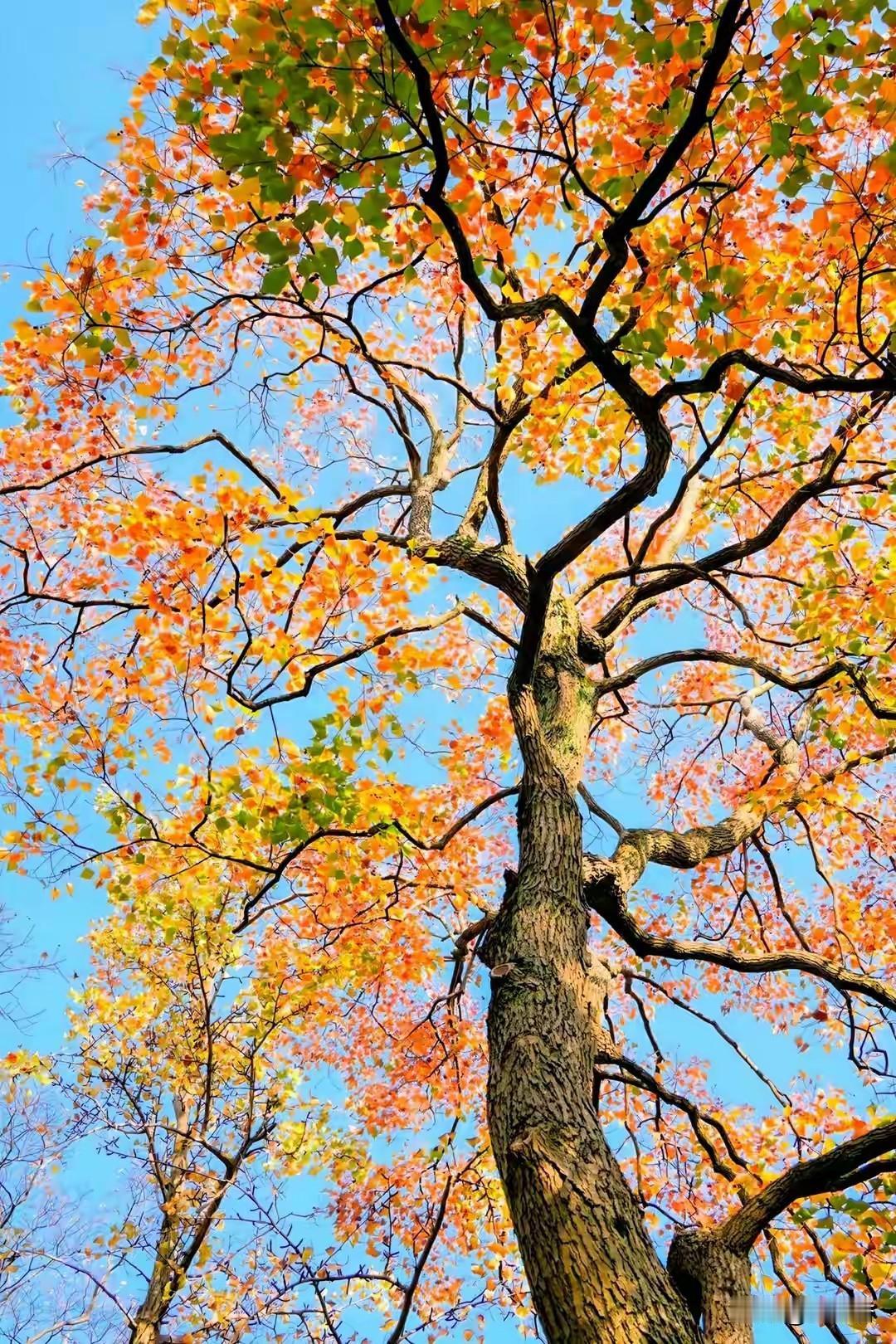 振聋发聩的一句话:“但凡男方和女方有一方有钱，都不会有天价彩礼一说。女方有钱的