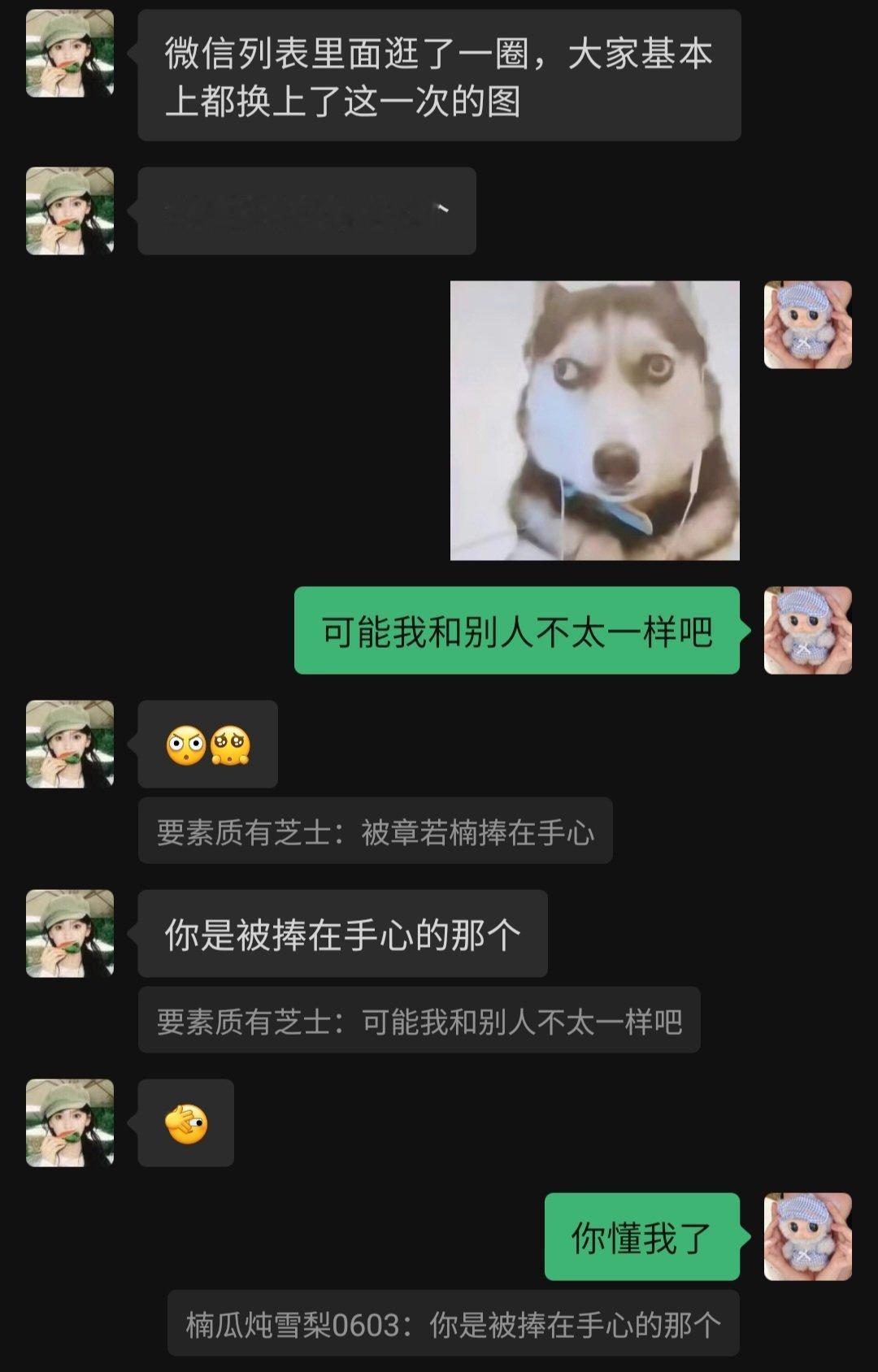 终于有人懂我了