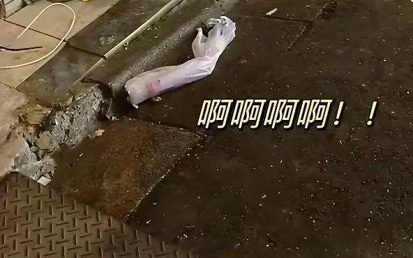 都怪自己是近视眼，远远的看被吓一跳，走近一看虚惊一场。