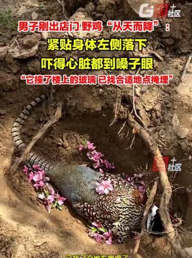 “吓出一身冷汗！”4月8日，山东东营，一男子刚走出店门，一个不明物体贴着他身体左