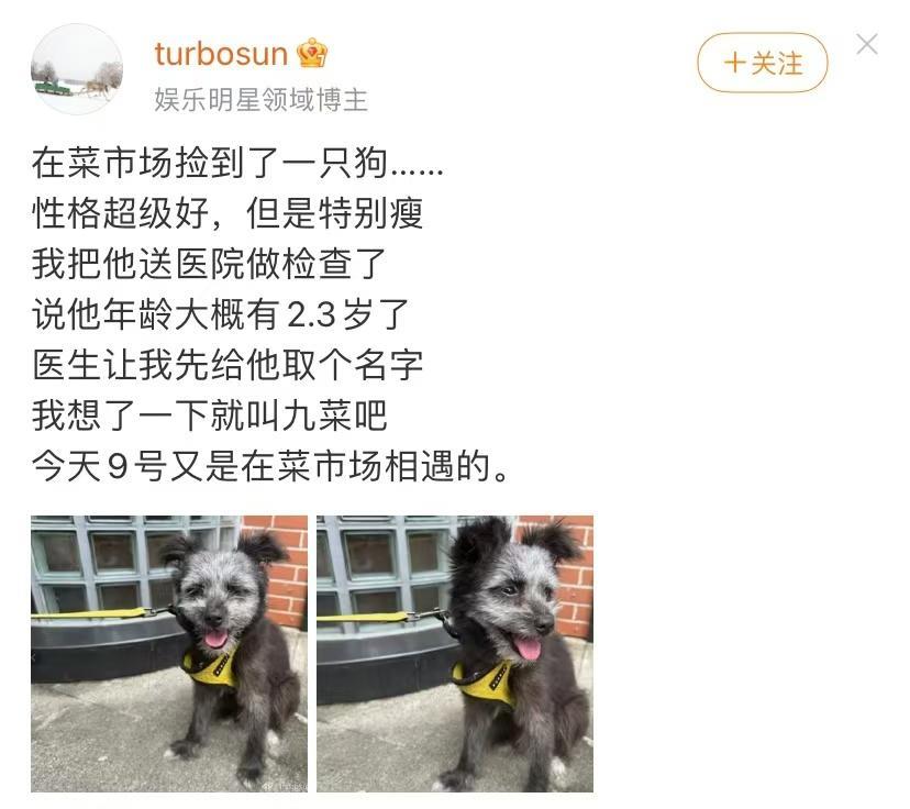 孙俪在菜市场捡到一只小狗！