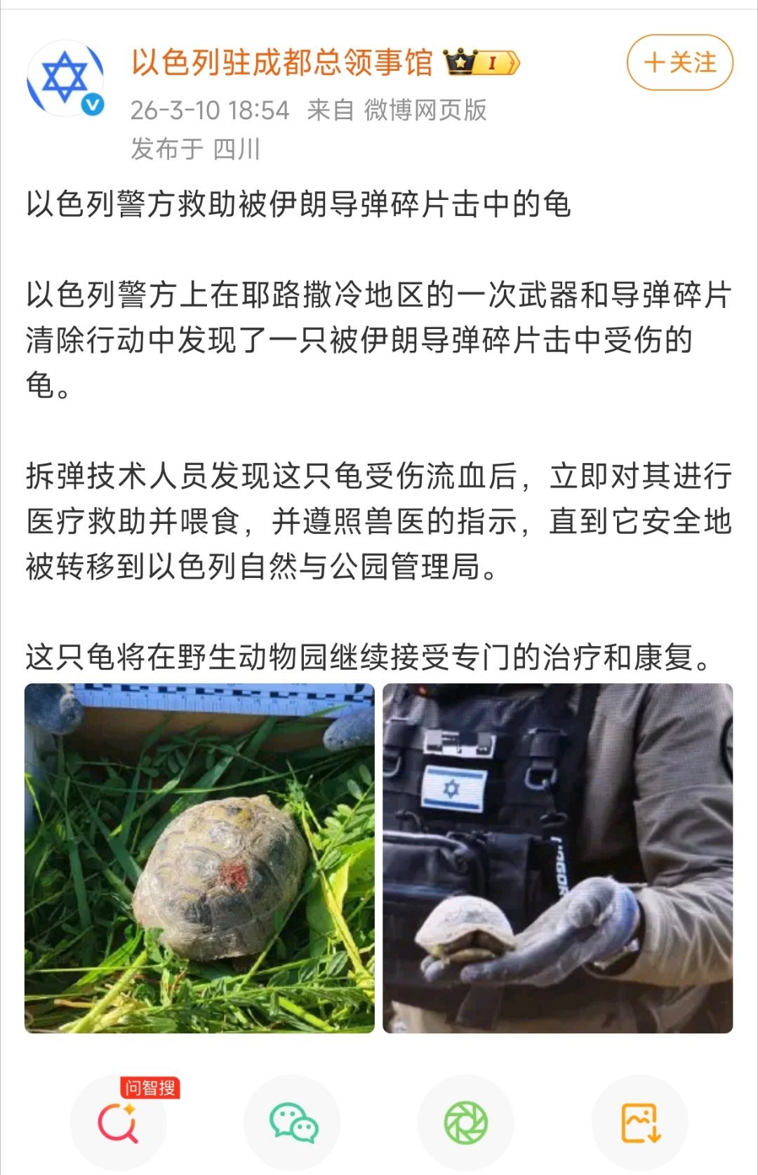 现在看你们的“作文”都觉得智商被严重侮辱了！美伊以冲突热点观点