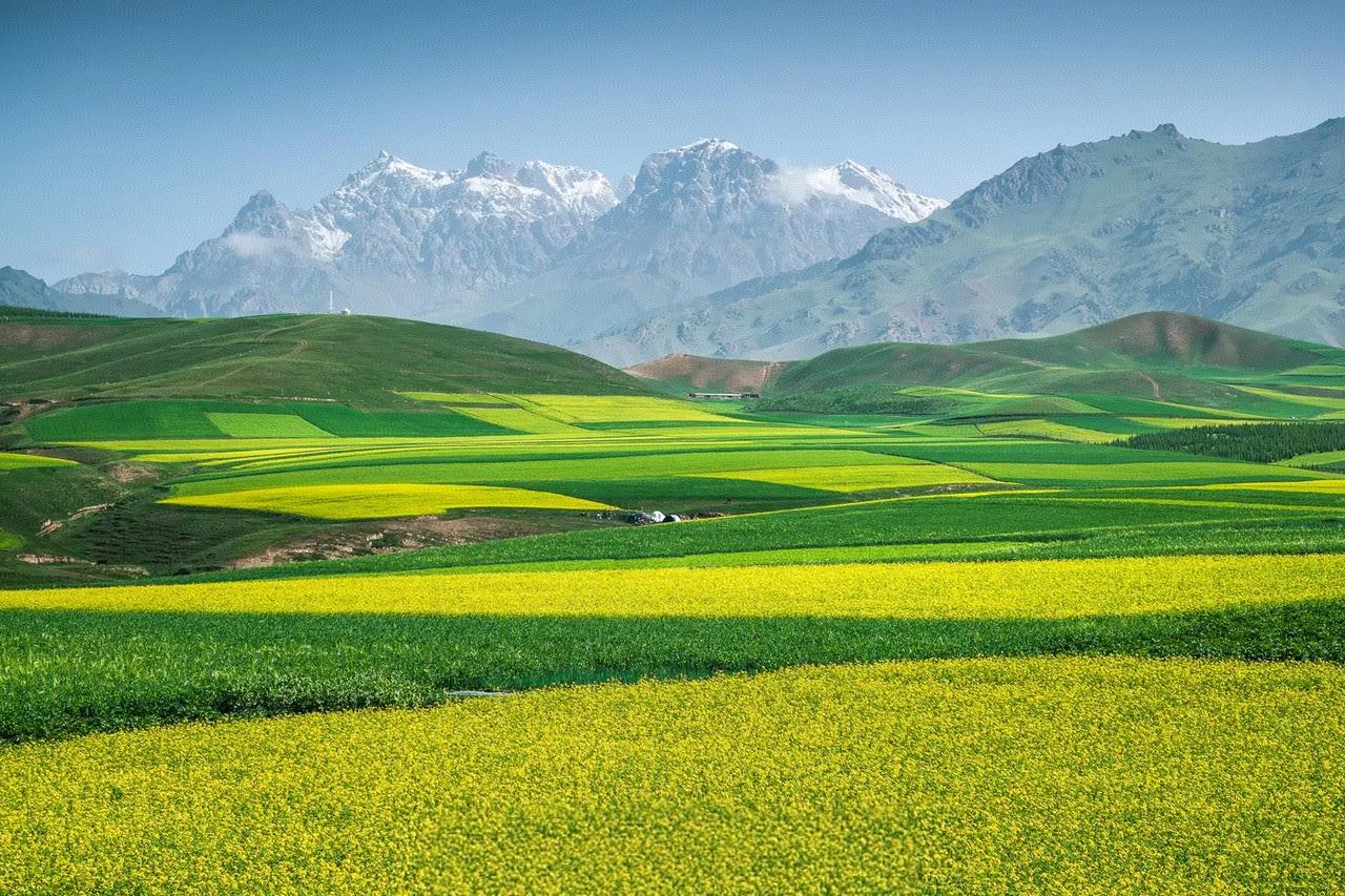 接待了一个高三的学生，寒假的时候准备上课，但是高三的时间都比较紧，总共放假也就是