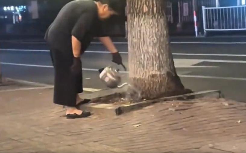 “太离谱了！”沈阳一大妈连续两周晚上，提着一壶开水去小区路边浇树。邻居开始都以为