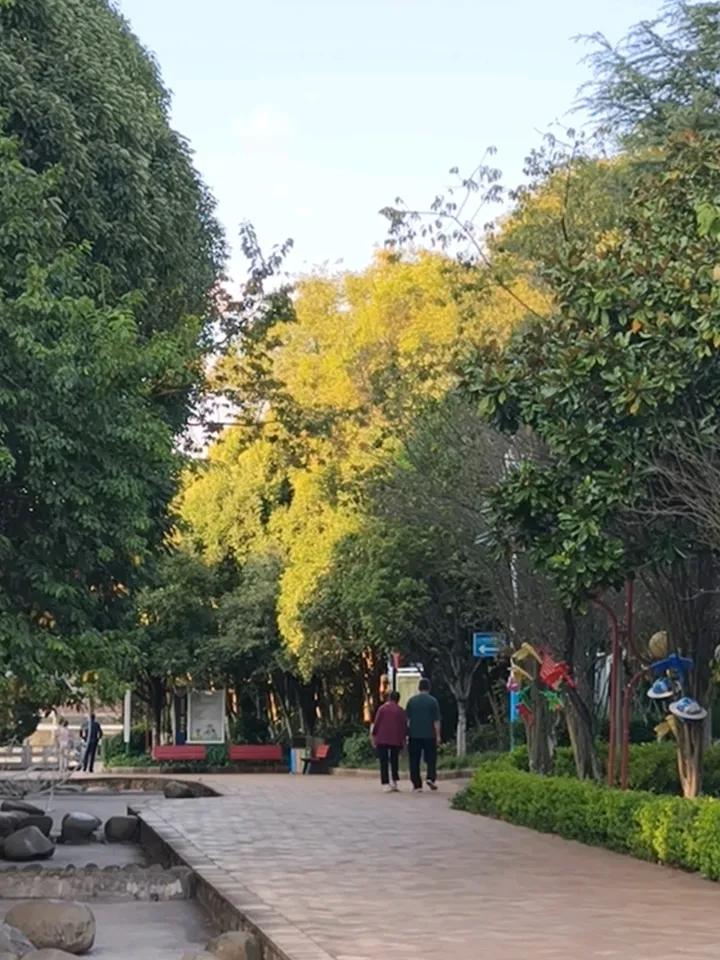 复利堪称人类的一项精妙发现。我原先对复利的理解并不算通透，早前听过的复利故事