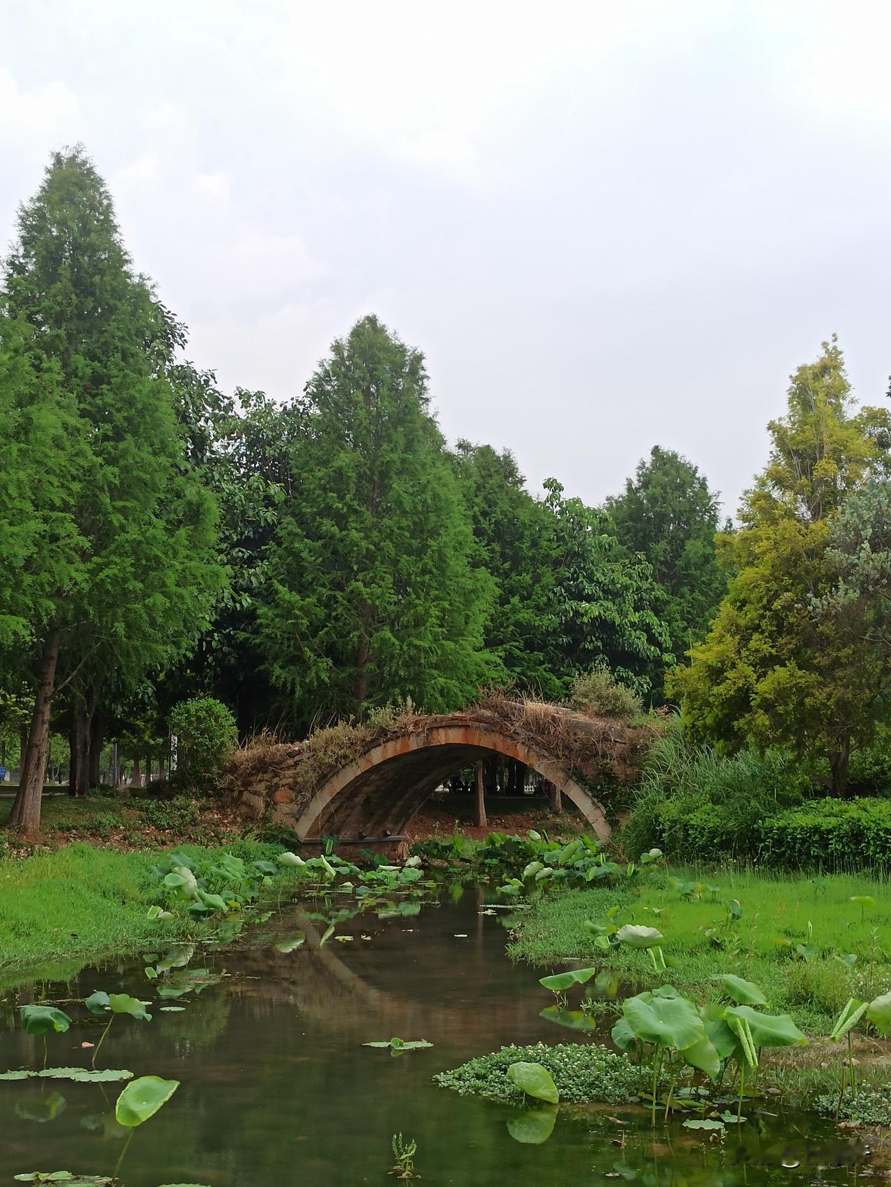 云南弥勒甸溪河上的古桥。该桥位于甸溪河湿地公园内，单孔石拱桥，建设年代不详，应是