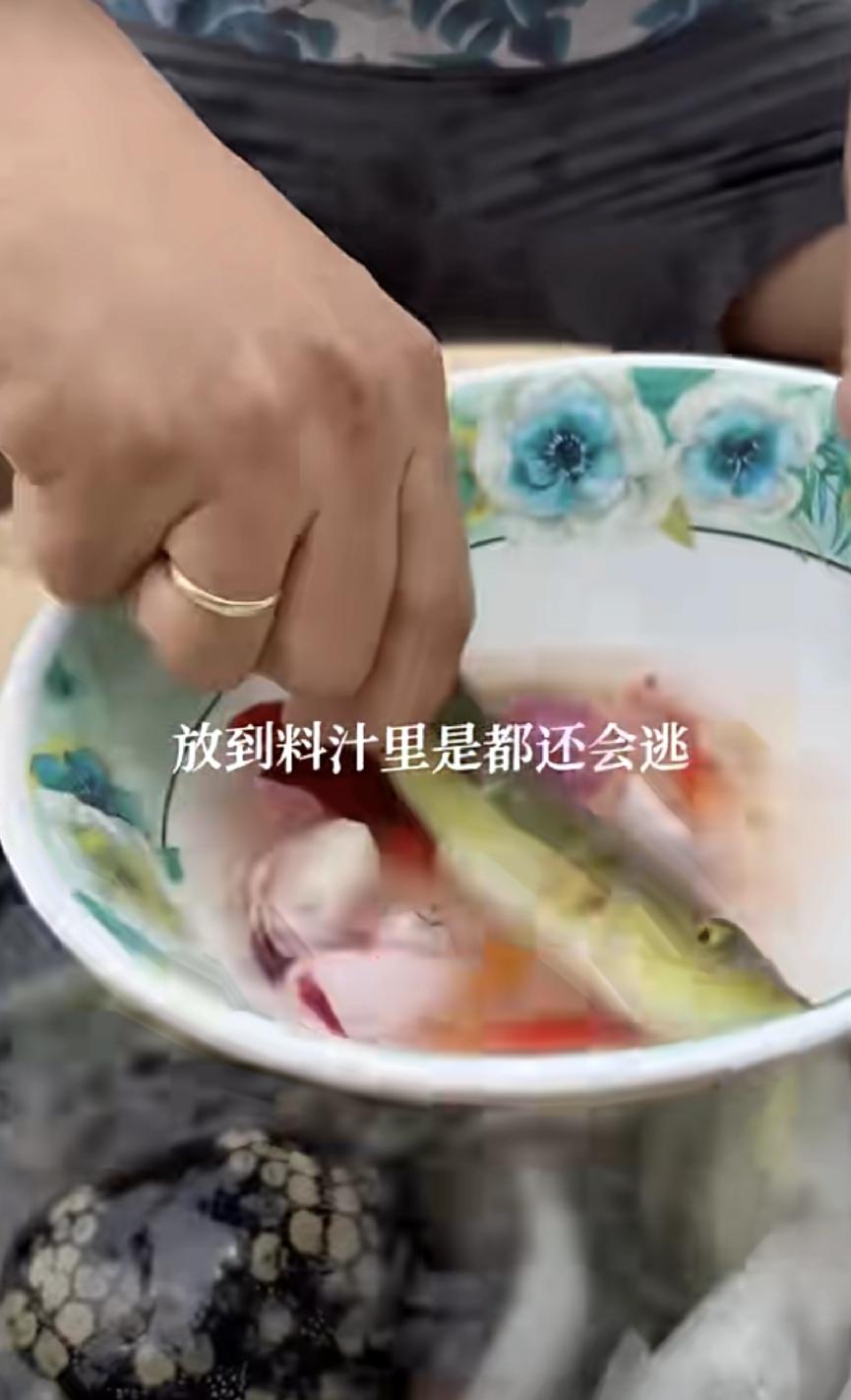 越南生吃，这鱼活蹦乱跳的，蘸调料吃。我一看就有点反胃。