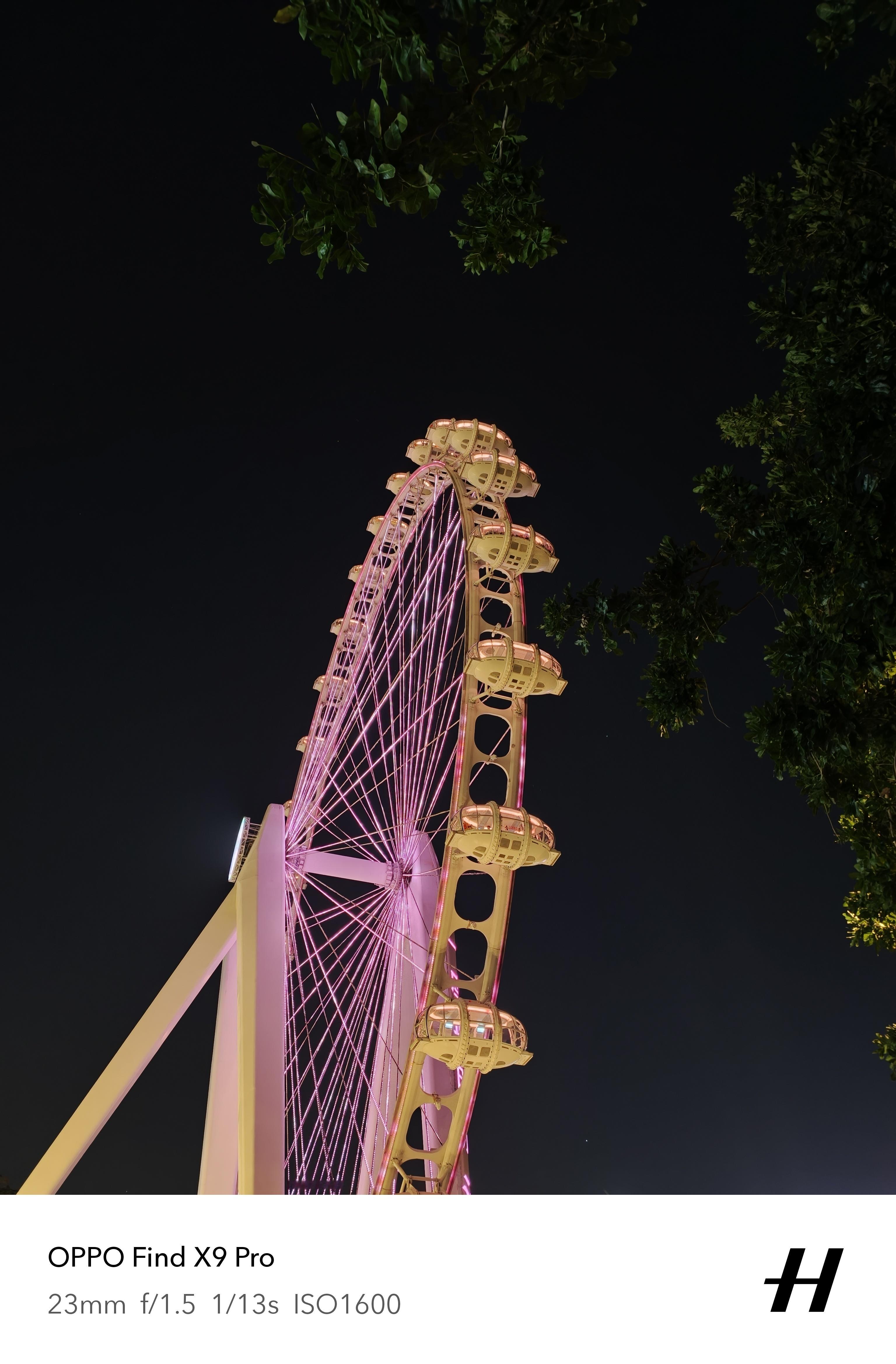 深圳这两天真舒服，不冷不热的~