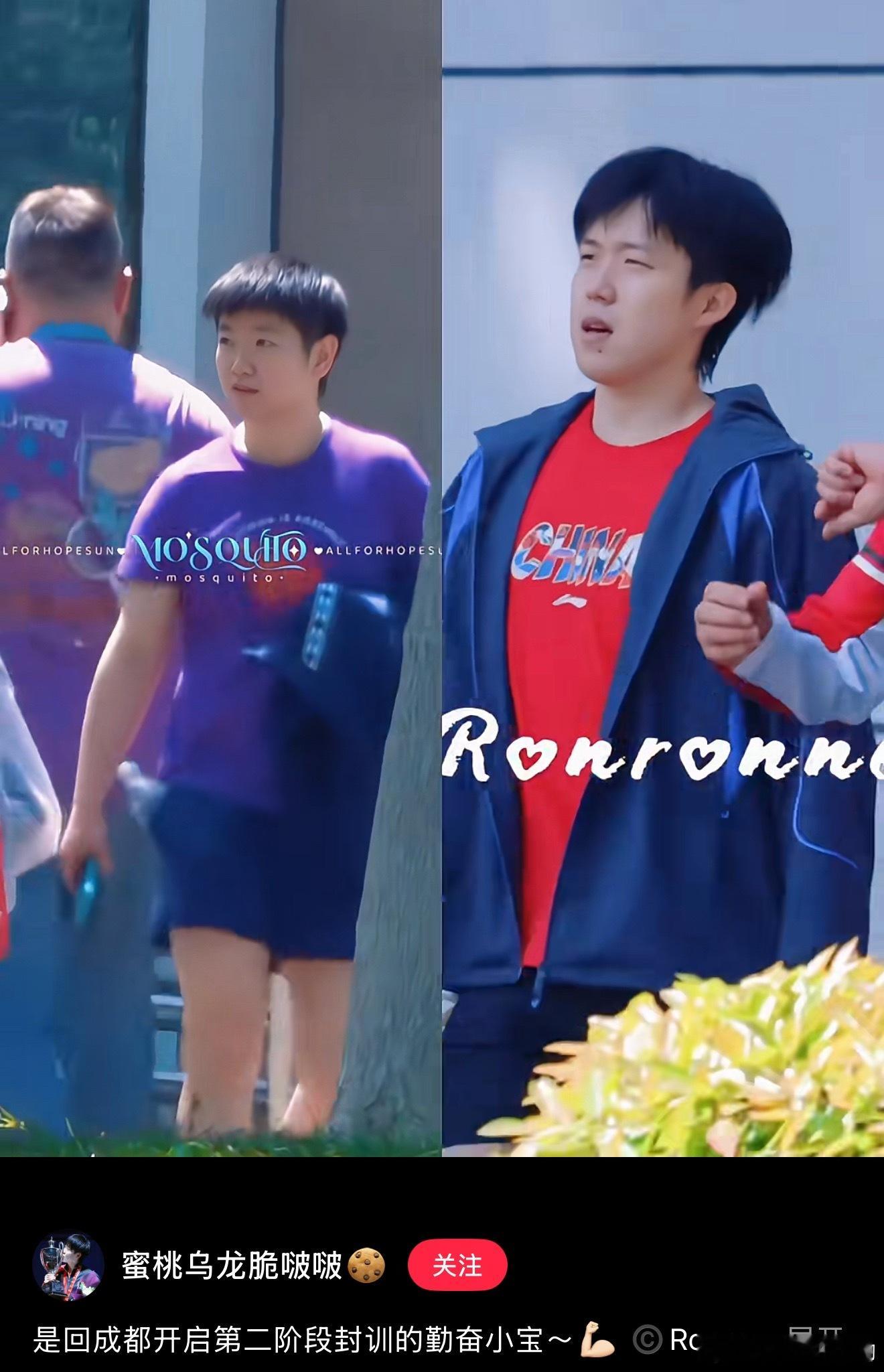 同一个托尼老师吗