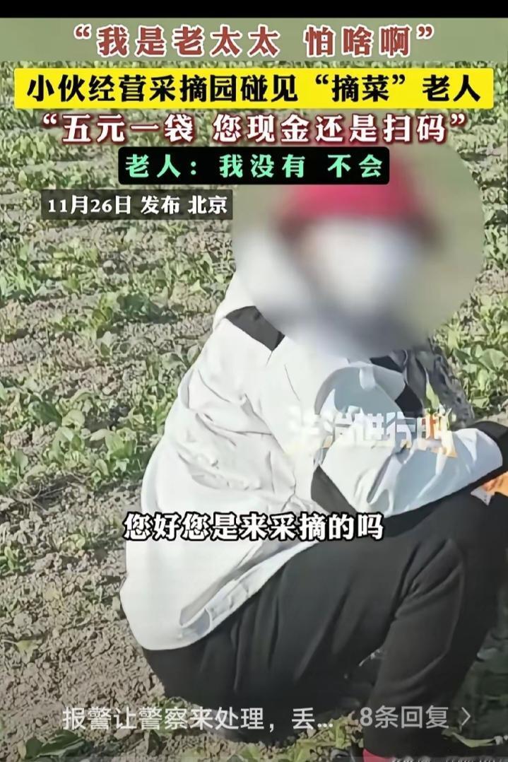 北京一小伙在自己经营的采摘园里碰见了一位老太太在偷摘自家的菜，就上前询问老太太: