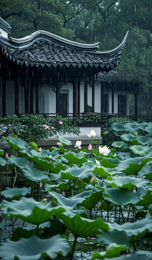 雨荷雨打荷塘叶叠青，亭檐垂玉落珠铃。粉荷半掩凝烟色，一枕清宁听雨声。独坐