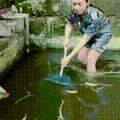 这鱼太皮了，把小姨子都弄懵了！创作训练营开营啦上联：池边看鱼跃，诚邀下联