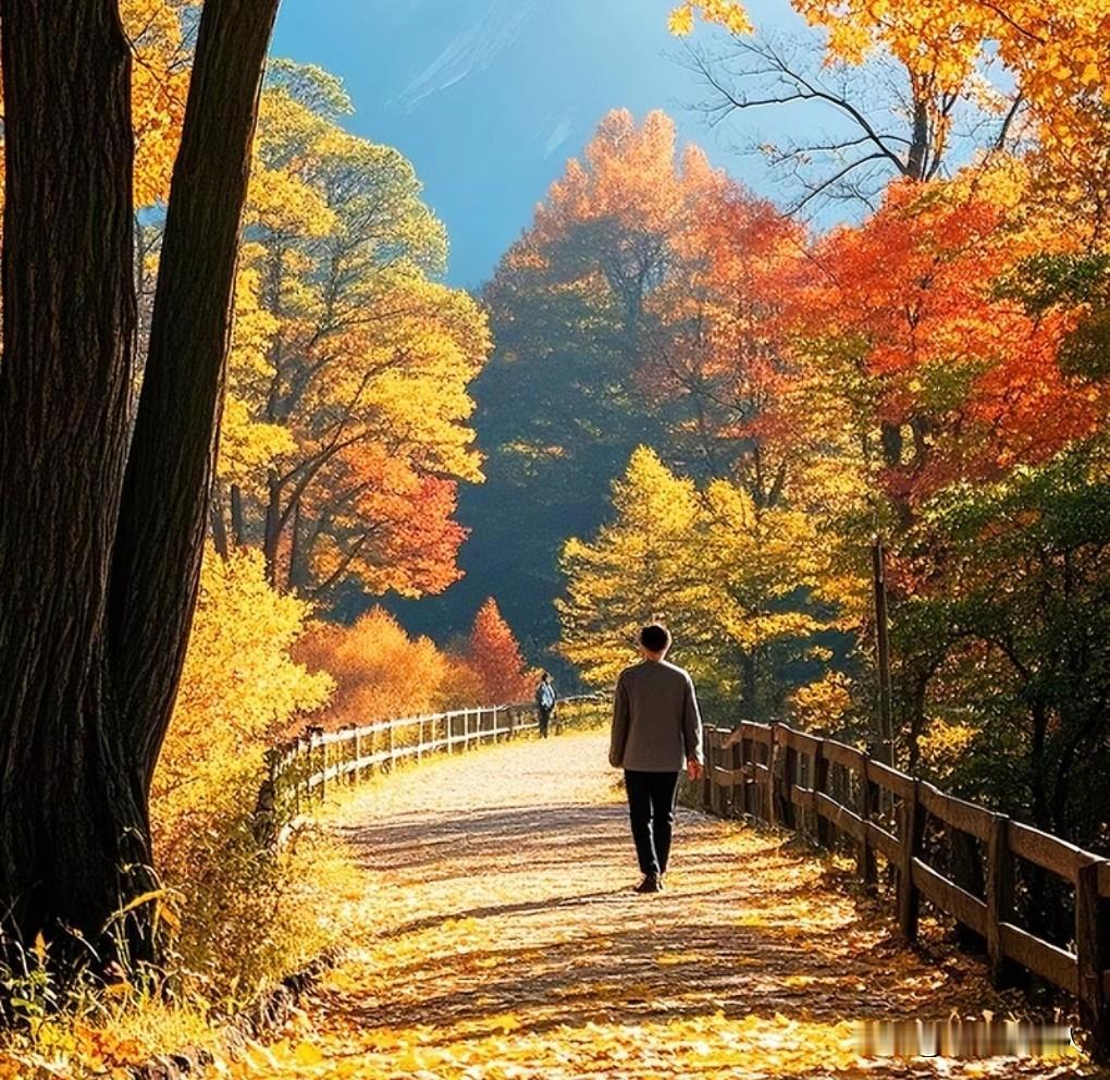 人老了有钱就一定过得好吗？本人并不这样认为，人老了，手上有钱，不一定日子会过得