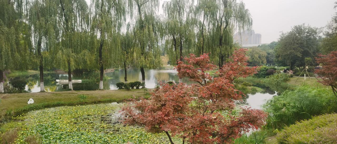 11年12万公里的奇骏，变速箱油真不用换？我上周刚陪哥们把同款车送进修理工位，