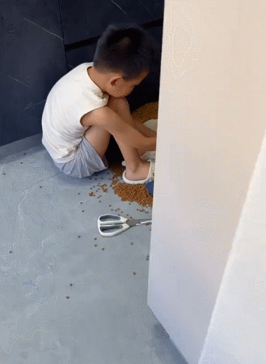 狗：这日子怎么可能跟谁过都一样​​​