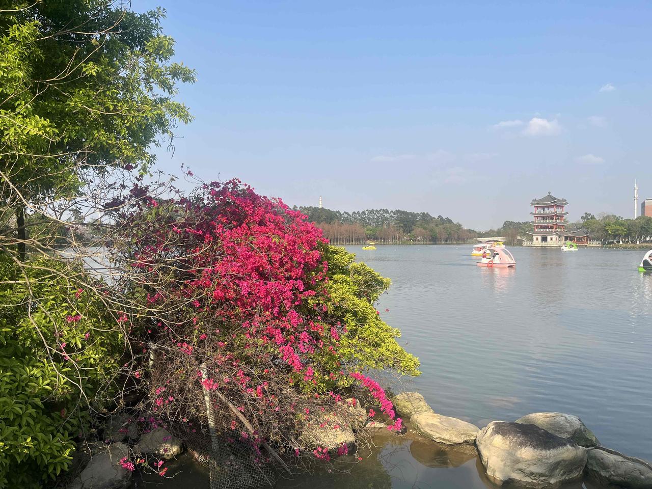 能送给我一句处在低谷期激励的话吗虽然新的一年才刚刚开始，但是听闻很多小伙伴可能刚