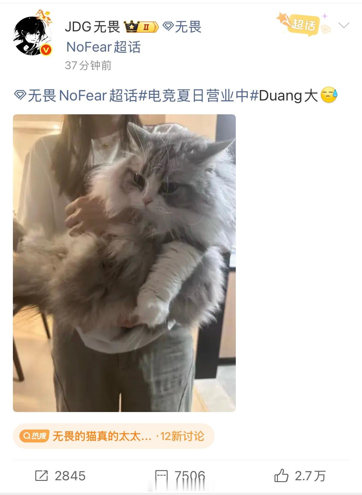 无畏的猫真的太太太大了NoFear，我家两只猫主子申请成为发财的好友！滴一个猫友
