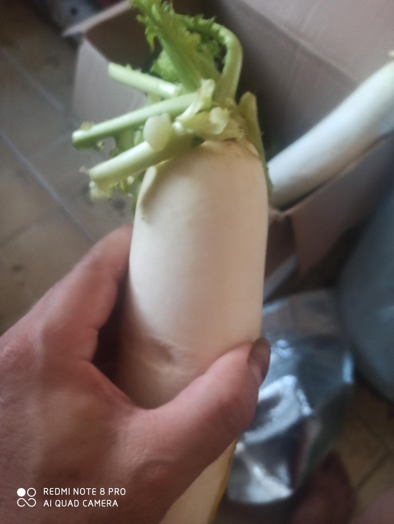 芋头种植不难,可怎样才能高产呢?