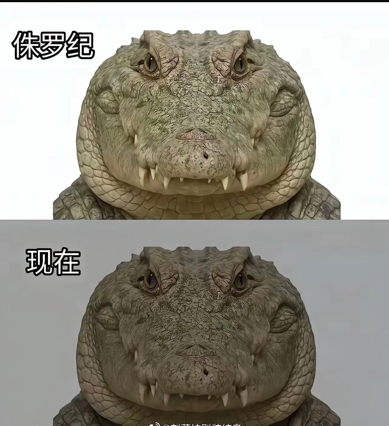 老天把你设计的太完美了