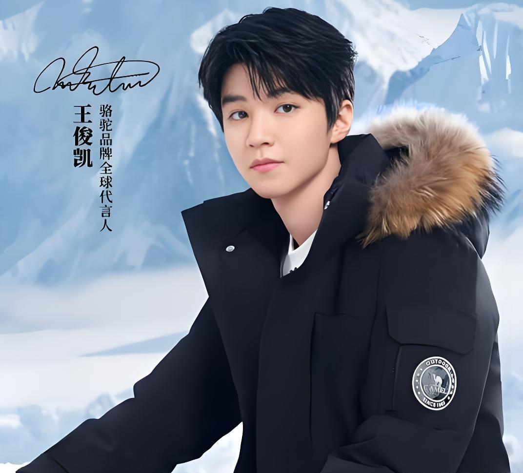 骆驼品牌方向王俊凯致歉骆驼品牌因运营失误致歉，如何修复与王俊凯及粉丝的关系？