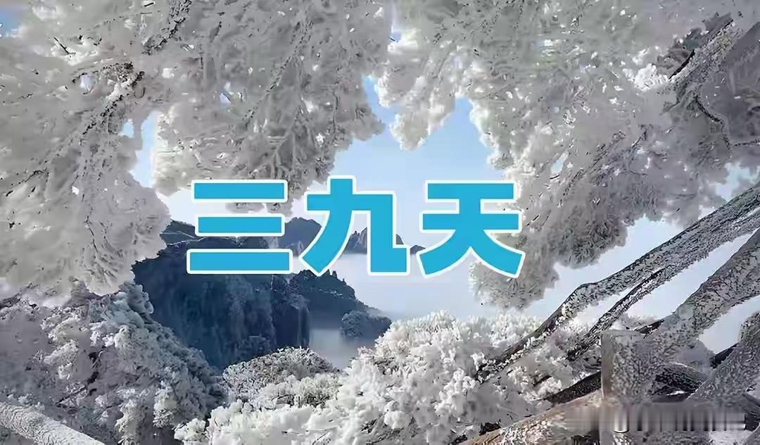 三九第2天！牢记“1不开2不露3多吃”，暖身抗寒少生病～冬日生活打卡季三