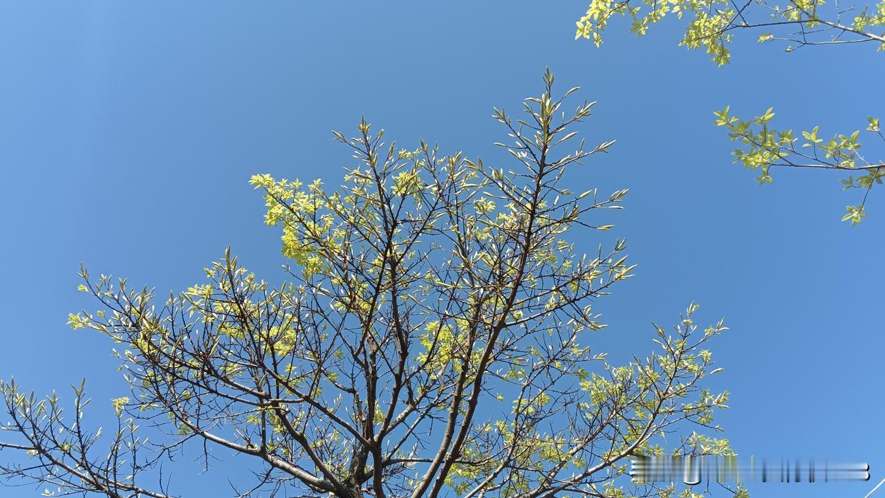 一位乡镇卫生院的主任医师说:我一个主任医师，在乡镇卫生院上班，每天做的事情就是