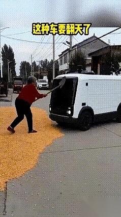 那辆白色的无人驾驶车，就这么直直地停在了村口。车灯一闪一闪，像个眨巴眼的铁皮盒