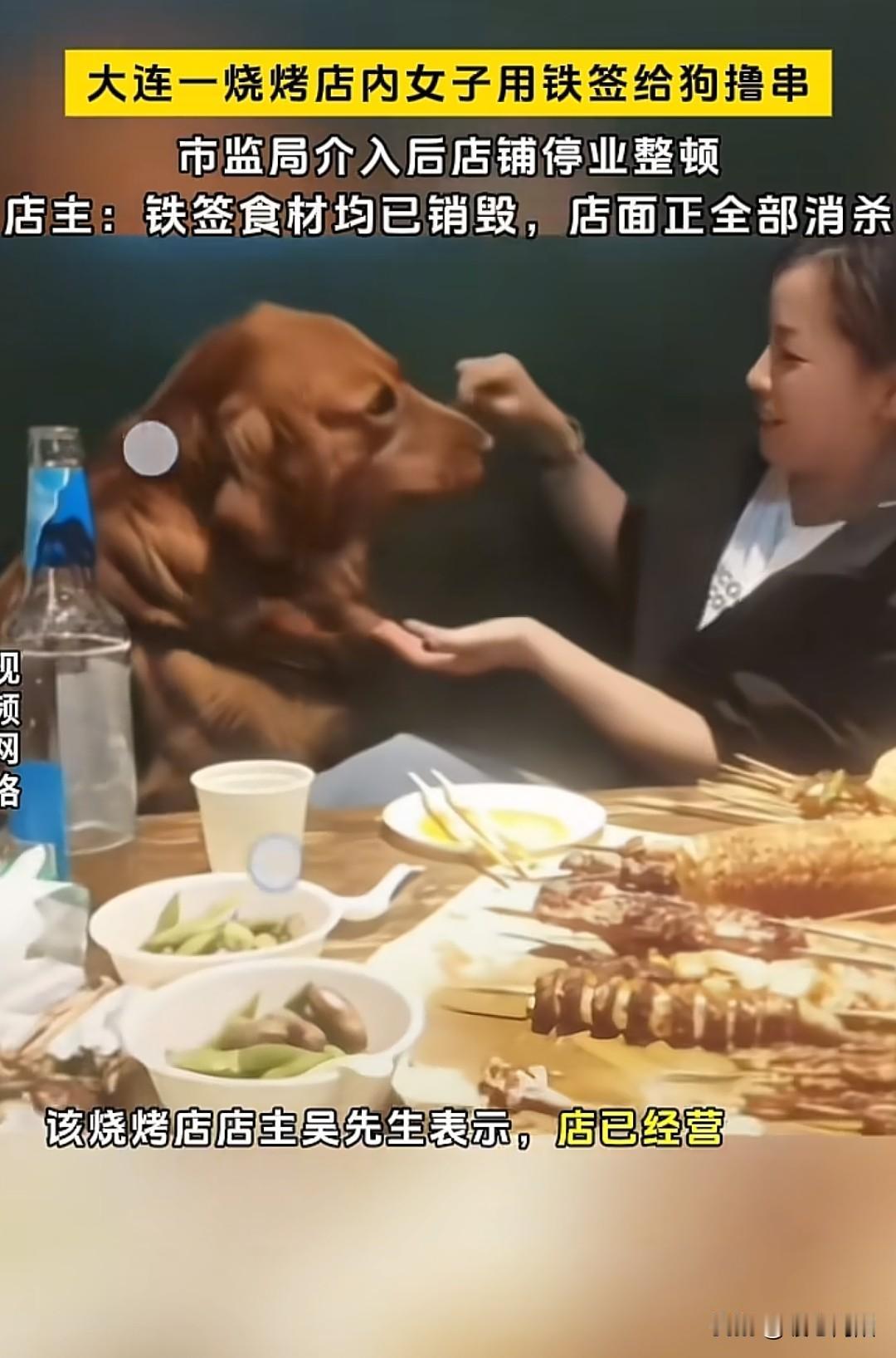 大连一女子带着狗去烧烤店撸串，和狗一同撸串，她撸一半，狗撸一半，女子喂狗撸串，随