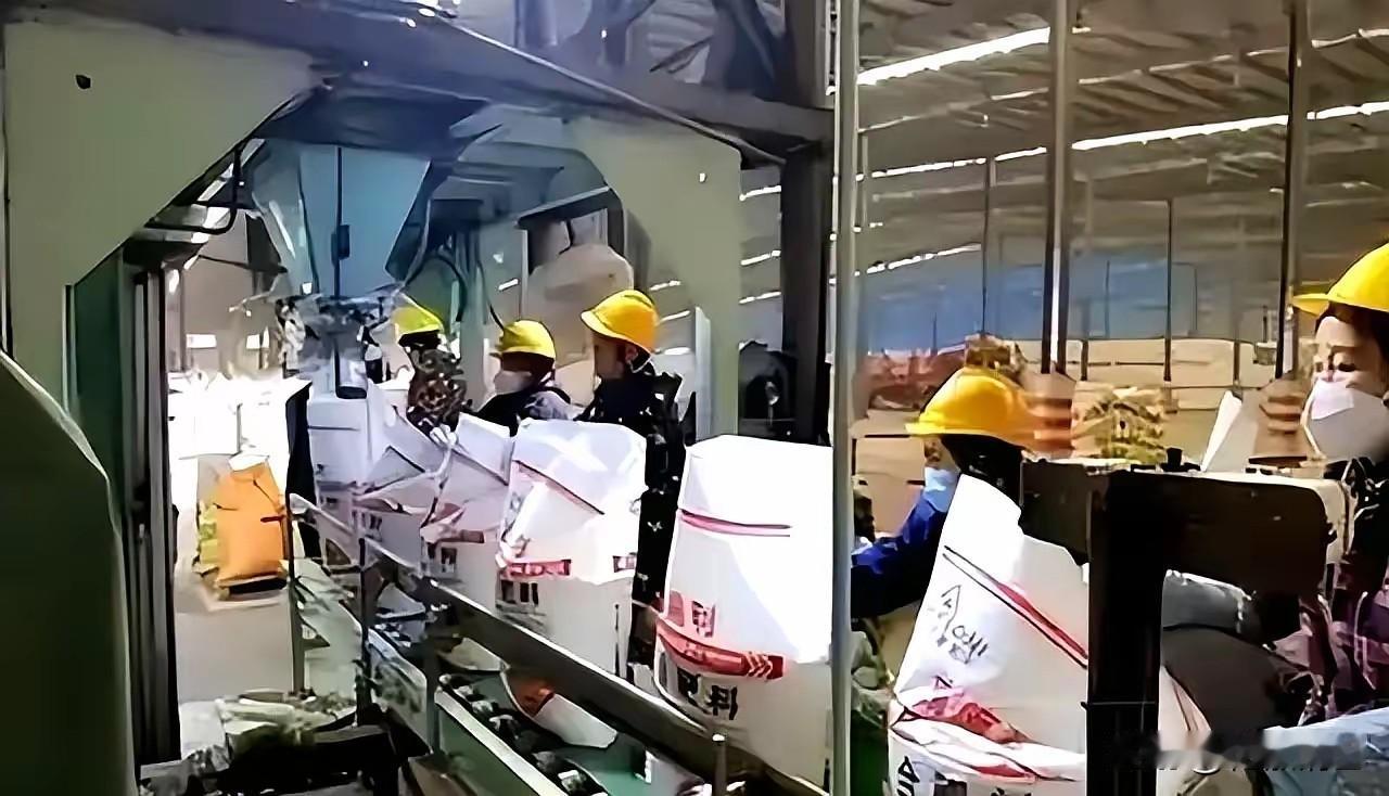 你是不知道印度这事儿干得多绝。当年咱们帮他们建了个巨型化肥厂，近百亿的大工程