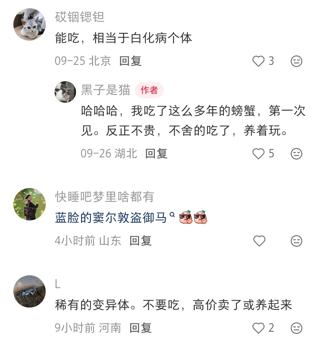 蓝色大闸蟹，好漂亮啊​​​