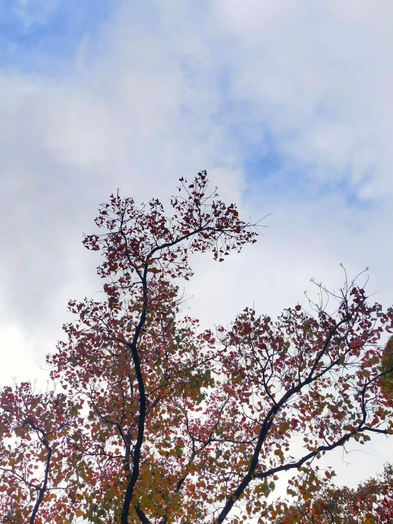 人性这东西真的经不起推敲，我大堂姐前几年二婚嫁给成都市区的一个退休男人，结婚时这