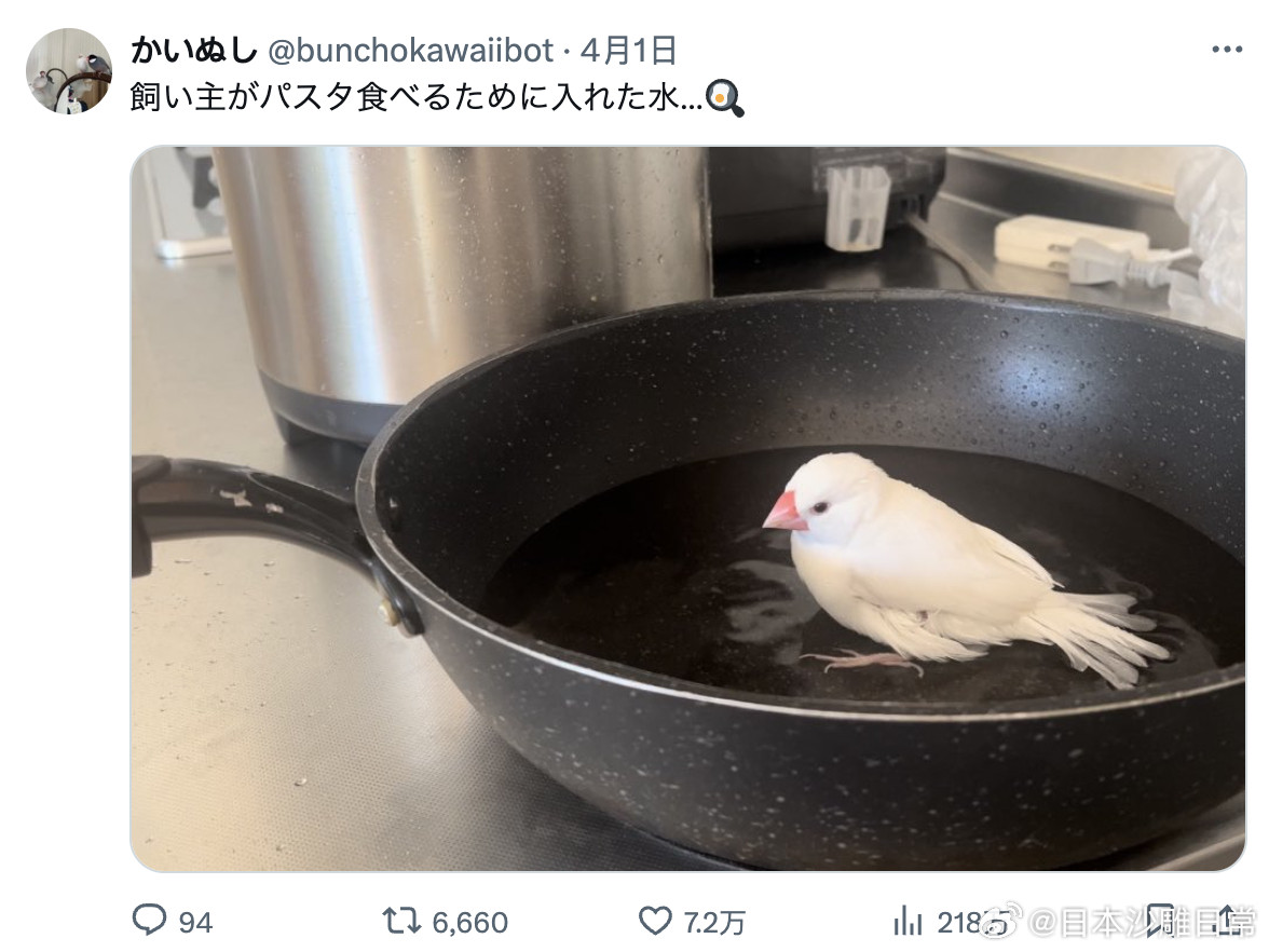 我为了煮意面放的水，你咋就进去洗澡了？🐦海外新鲜事​​​