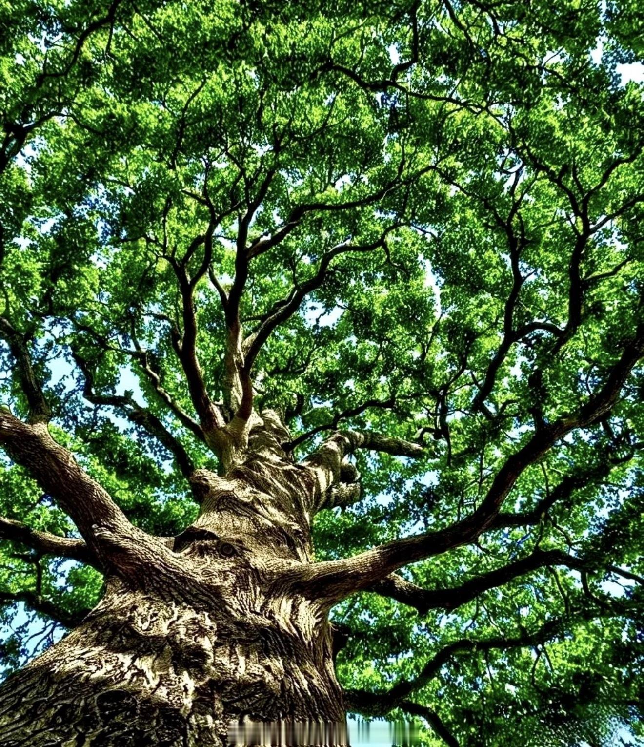 交易这件事，和智商无关。很多人刚接触交易的时候，包括我自己，都觉得这是一个需要高