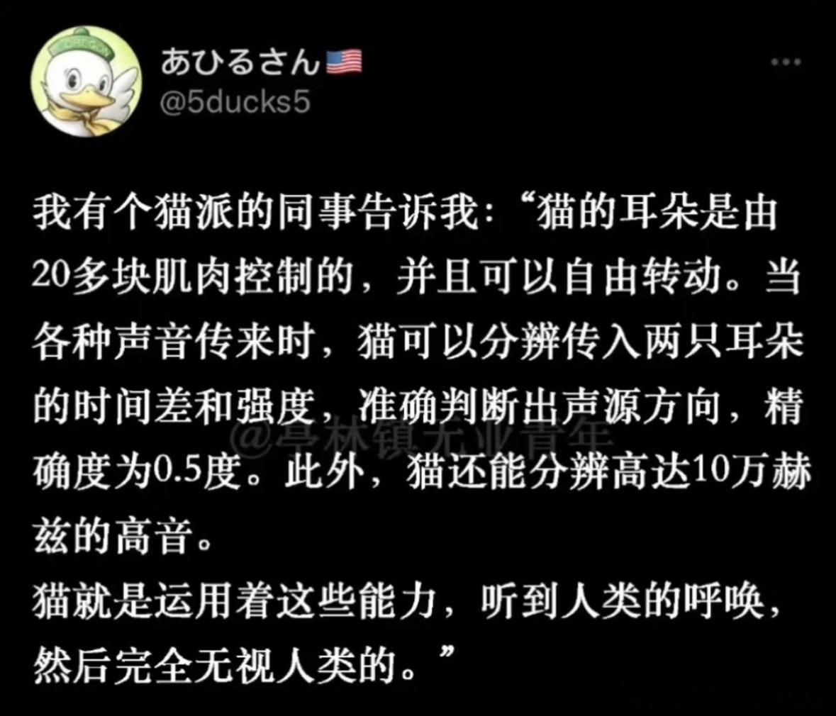 猫hear但猫不care~