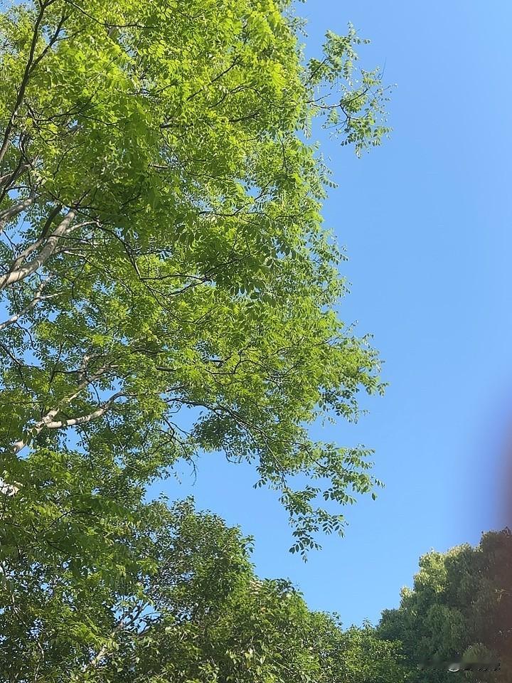 昨天和楼下邻居聊天，说到生孩子的事儿。邻居是上海土著，比我大几岁，已退休公务