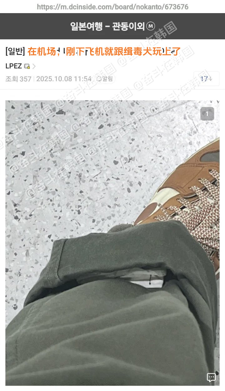 在机场协助缉毒犬训练会发生的事儿~送缉毒犬小卡呢海外新鲜事热点现场