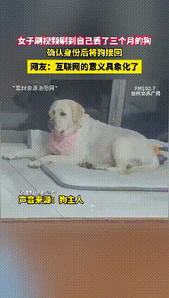 山东青岛，一名女子的狗丢失了3个月，怎么找都找不到，就在她即将放弃的时候，有朋友