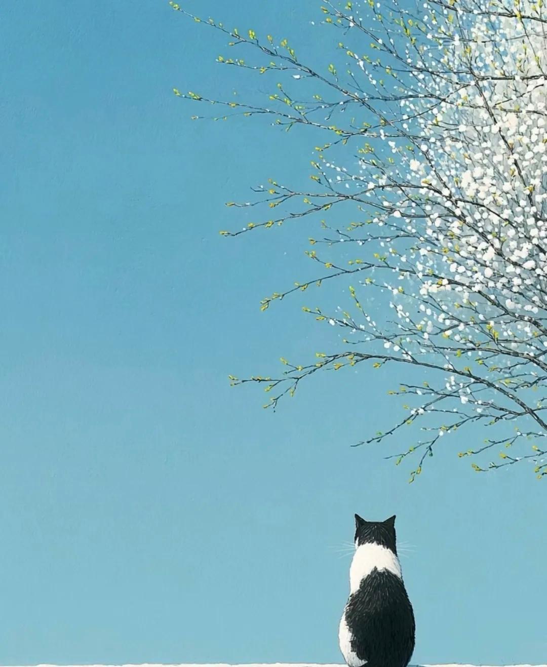 好运气，其实是可以“吸引”来的，快速转运只需1小时，你试过吗？别再觉得你“运气