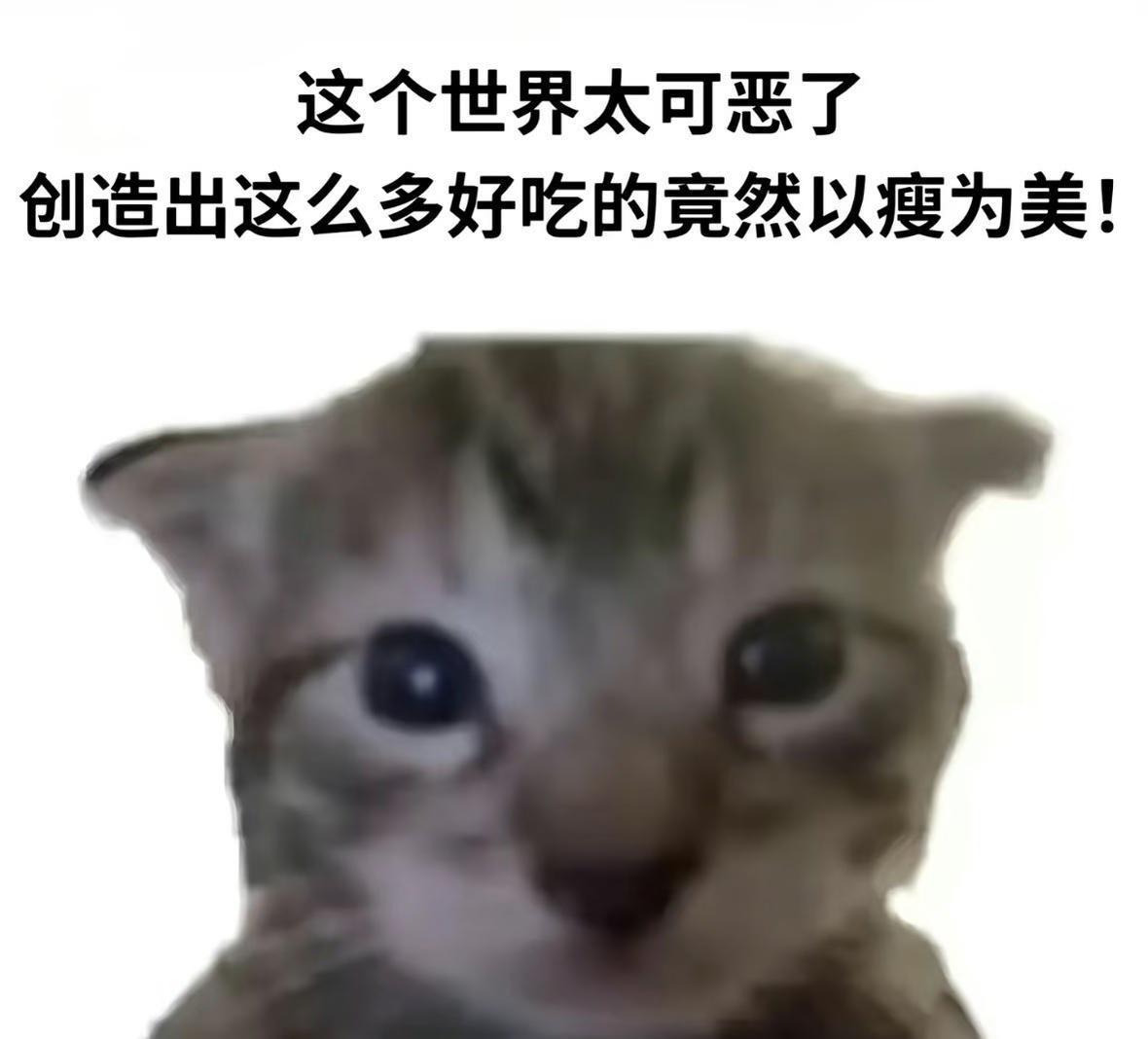可恶咪！梗图抽象meme搞笑